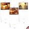 The Best Card Company 10 Assorted Thank You Notecards Boxed Set 4 x 512 Inch with Envelopes 10 Designs 1 Each Sunset Dolphins M6460TYG