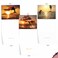 The Best Card Company 10 Assorted Thank You Notecards Boxed Set 4 x 512 Inch with Envelopes 10 Designs 1 Each Sunset Dolphins M6460TYG