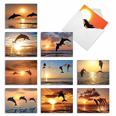 The Best Card Company 10 Assorted Thank You Notecards Boxed Set 4 x 512 Inch with Envelopes 10 Designs 1 Each Sunset Dolphins M6460TYG