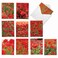 The Best Card Company 10 Assorted Thank You Notecards Bulk Box Set 4 x 512 Inch with Envelopes 10 Designs 1 Each POPPY LOVE 10 Assorted Thank You Note Cards wMatching Envelopes M3019