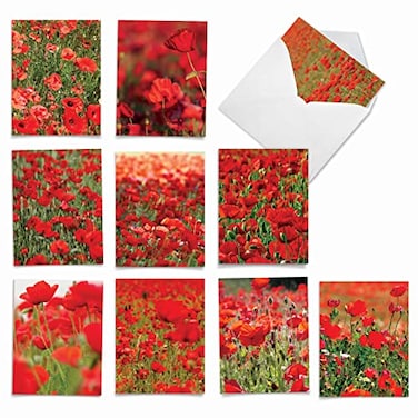 The Best Card Company 10 Assorted Thank You Notecards Bulk Box Set 4 x 512 Inch with Envelopes 10 Designs 1 Each POPPY LOVE 10 Assorted Thank You Note Cards wMatching Envelopes M3019