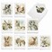 The Best Card Company 10 Assorted Thank You Notes Box Set 4 x 512 Inch with Envelopes 10 Designs 1 Each Watercolor Wildlife M6629TYG