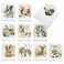 The Best Card Company 10 Assorted Thank You Notes Box Set 4 x 512 Inch with Envelopes 10 Designs 1 Each Watercolor Wildlife M6629TYG