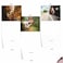 The Best Card Company 10 Assorted Thank You Notes Boxed Set 4 x 512 Inch with Envelopes 10 Designs 1 Each Doggie in the Window M6481TYG