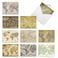 The Best Card Company 10 Assorted Thank You Notes Boxed Set 4 x 512 Inch with Envelopes 10 Designs 1 Each Map Quests M2076