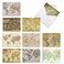 The Best Card Company 10 Assorted Thank You Notes Boxed Set 4 x 512 Inch with Envelopes 10 Designs 1 Each Map Quests M2076
