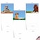 The Best Card Company 10 Assorted Thank You Notes Boxed Set 4 x 512 Inch with Envelopes 10 Designs 1 Each READING EYE DOGS 10 Assorted Thank You Note Cards M2967