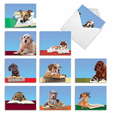 The Best Card Company 10 Assorted Thank You Notes Boxed Set 4 x 512 Inch with Envelopes 10 Designs 1 Each READING EYE DOGS 10 Assorted Thank You Note Cards M2967