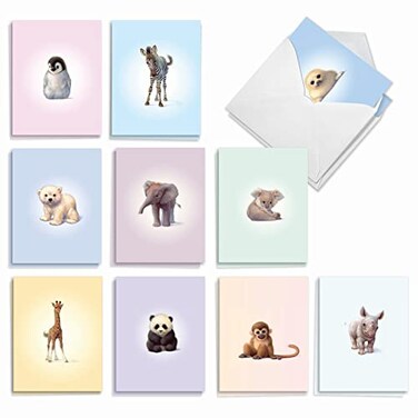 The Best Card Company 20 Assorted Baby Notecards Box Set 4 x 512 Inch with Envelopes 10 Designs 2 Each Zoo little ones AM6726BBGB2x10