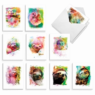 The Best Card Company 20 Assorted Boxed Thank You Note Card Set wEnvelopes 2 each 10 Design 4 x 512 Inch Funky Rainbow Sloth AM6866TYGB2x10