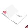The Best Card Company Birthday Greeting Card with 5 x 7 Inch Envelope 1 Card Bday Dirty Dogs Accident C7217CBDG