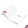 The Best Card Company Birthday Greeting Card with 5 x 7 Inch Envelope 1 Card Bday Dirty Dogs Accident C7217CBDG