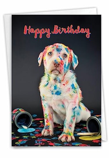 The Best Card Company Birthday Greeting Card with 5 x 7 Inch Envelope 1 Card Bday Dirty Dogs Accident C7217CBDG