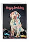 The Best Card Company Birthday Greeting Card with 5 x 7 Inch Envelope 1 Card Bday Dirty Dogs Accident C7217CBDG