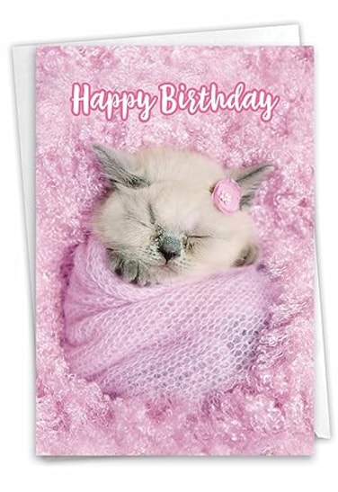 The Best Card Company Birthday Greeting Card with 5 x 7 Inch Envelope 1 Card Bday Fluffy Furballs C7168ABDG