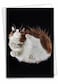 The Best Card Company Birthday Greeting Card with 5 x 7 Inch Envelope 1 Card Bday Under Cats C7185ABDG