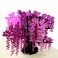 WOWPAPERART Wisteria Tree Sympathy Condolence Card Original 3D Pop Up Greeting Card