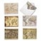 The Best Card Company 36 Assorted From Teacher Notecards Bulk Box Set 4 x 512 Inch with Envelopes 6 Designs 6 Each Travel Geography Variety Pack Map Quests AM3076FTGB6x6