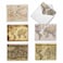 The Best Card Company 36 Assorted From Teacher Notecards Bulk Box Set 4 x 512 Inch with Envelopes 6 Designs 6 Each Travel Geography Variety Pack Map Quests AM3076FTGB6x6