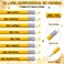 Fuyoooo 24 Sets Bee Party Favor Bulk Inspirational Notepads Pencil Mini Erasers Greeting Card Bee Themed Classroom Decor Party Supplies School Classics