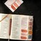 DIVERSEBEE DiverseBee Pastel Sticky Notes Set Cute Sticky Notes Aesthetic SelfStick Note Pads Sticky Tabs Page Flags Planner Accessories Journaling Office School Bible Study Supplies Petals