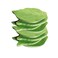 Funny live Leaf Sticky Note Pads Memo Pads AntiForgetting Reminder Note DIY Decoration Home WallPhoto Wall Decoration50 SheetsPad8 Pads400 Pages in Total