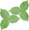 YTYKINOY 300 Pages Creative Green Tree Leaf Shape Paper Sticky Memo Notes Sticky Note Memo Pad Notepad