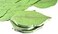 YTYKINOY 300 Pages Creative Green Tree Leaf Shape Paper Sticky Memo Notes Sticky Note Memo Pad Notepad
