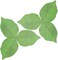 YTYKINOY 300 Pages Creative Green Tree Leaf Shape Paper Sticky Memo Notes Sticky Note Memo Pad Notepad