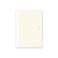 Midori DESIGNPHIL 13800006 Notebook MD Notebook Paperback Horizontal Ruled