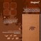 Dingbats* Notebooks A5 Brown Bear Plain