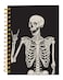 iampanda Spiral Journal NotebookStrong TwinWire Binding with Premium Paper for Girl WomenCool Funny 60 Sheets A5 College Ruled NotebookJournalPerfect for School Office Home GiftsSkull Human