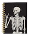 iampanda Spiral Journal NotebookStrong TwinWire Binding with Premium Paper for Girl WomenCool Funny 60 Sheets A5 College Ruled NotebookJournalPerfect for School Office Home GiftsSkull Human