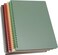 Yansanido Spiral Notebook 4 Pcs B5 98 x 69 inch Thick Plastic Hardcover 8mm Ruled 4 Color 80 Sheets 160 Pages Journals for Study and Notes