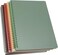 Yansanido Spiral Notebook 4 Pcs B5 98 x 69 inch Thick Plastic Hardcover 8mm Ruled 4 Color 80 Sheets 160 Pages Journals for Study and Notes