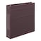 Carstens 2Inch Heavy Duty 3Ring Binder Side Opening Plum Durable Plastic Precision NoGap Rings Waterproof Covers No Pockets Holds 300 LetterSized Sheets BPAFree Made in USA 58233R