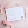 Peachly Desktop Weekly Planner Notepad 60 Undated TearOff Pages Schedule Daily ToDo Lists Increase Your Productivity In Less Than 5 Minutes A Week Achieve Your Goals Peach and Mint Fern