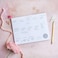 Peachly Desktop Weekly Planner Notepad 60 Undated TearOff Pages Schedule Daily ToDo Lists Increase Your Productivity In Less Than 5 Minutes A Week Achieve Your Goals Peach and Mint Fern