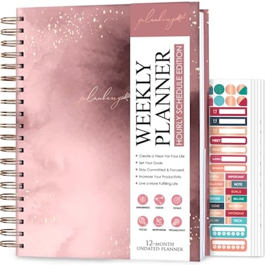 PLANBERRY Large Hourly Schedule Planner Premium Undated Organizer for Productivity Time Management Budget 8x104 Rose Gold