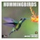 RED EMBER Hummingbirds 2025 Wall Calendar 12 Month 12 x 24 Open Thick Sturdy Paper Giftable Calendar 2025
