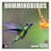 RED EMBER Hummingbirds 2025 Wall Calendar 12 Month 12 x 24 Open Thick Sturdy Paper Giftable Calendar 2025