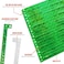 Wristco 100 WristCo Holographic Green VIP Plastic Wristbands Wristbands for Events