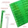 Wristco 100 WristCo Holographic Green VIP Plastic Wristbands Wristbands for Events