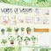 Hedeey Bookshelf Bulletin Board Set Classroom Bulletin Board Sets Back to School Plant Motvational Classroom Decor Reading Bulletin Board Set for School Office Home Library Classroom Wall Supplies
