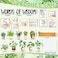 Hedeey Bookshelf Bulletin Board Set Classroom Bulletin Board Sets Back to School Plant Motvational Classroom Decor Reading Bulletin Board Set for School Office Home Library Classroom Wall Supplies