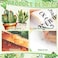 Hedeey Bookshelf Bulletin Board Set Classroom Bulletin Board Sets Back to School Plant Motvational Classroom Decor Reading Bulletin Board Set for School Office Home Library Classroom Wall Supplies