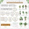 Qilery Bookshelf Bulletin Board Set Motivational Classroom Decor Reading Library Bulletin Board Set Inspirational Cutout for Back to School Classroom DecorationGrow with Kindness