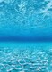 Teacher Created Resources Under The Sea Better Than Paper Bulletin Board Roll TCR77452