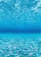 Teacher Created Resources Under The Sea Better Than Paper Bulletin Board Roll TCR77452