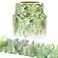 Youngever 525 ft Bulletin Board Borders for Classroom Decoration Tropical Theme